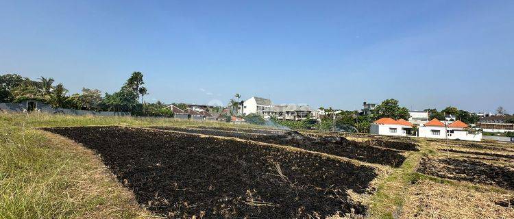 Tanah Langka Cocok Dibangun Villa di Pererenan Canggu, Bali 1