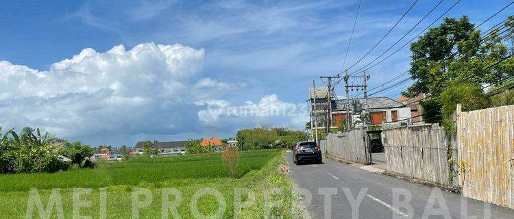 Rare Land Strategic Location In Expatriate Area Umalas, Bali 1