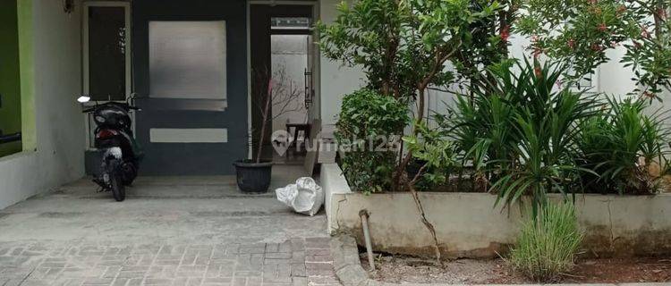 Rumah Asri 1 Lantai Siap Huni di Sepatan Tangerang 1