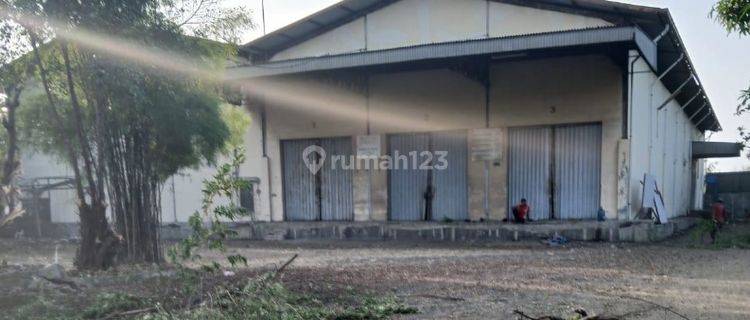 Pabrik Tegal Jl Raya Pantura Jawa Tengah 1