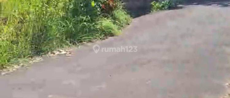 SURELY CLOSED FOR SALE LAND IN PANDAK LOCATION, BANDUNG, KEDIRI, TABANAN 1