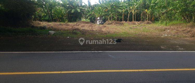 Pasti Closing Di Sewakan Tanah Loss Sungai View Sawah Pinggir Jalan Lokasi Tampak Siring Ubud Gianyar 1