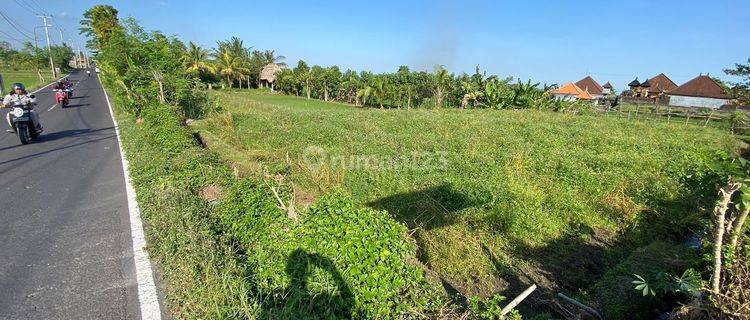 PASTI CLOSING DI JUAL TANAH PINGGIR JALAN UTAMA LOKASI SIBANG GEDE ABIANSEMAL BADUNG 1