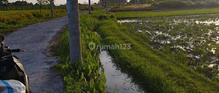 CERTAINLY CLOSED FOR RENT LAND IN KEDUNGU BELALANG TABANAN LOCATION 1