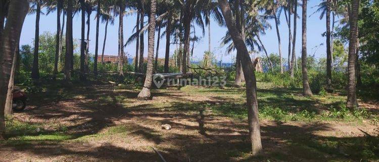 PASTI CLOSING DI JUAL TANAH LOSS PANTAI VIRGIN VIEW LAUT LOKASI BUGBUG KARANGASEM
 1