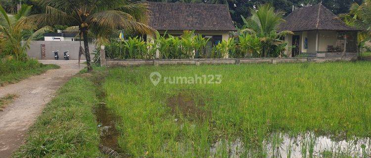 PASTI CLOSING DI SEWAKAN TANAH LOKASI TEGALLALANG UBUD GIANYAR 1