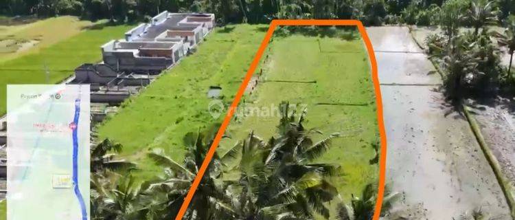 PASTI CLOSING DI SEWAKAN TANAH VIEW SAWAH LOKASI PEJENG UBUD GIANYAR 1