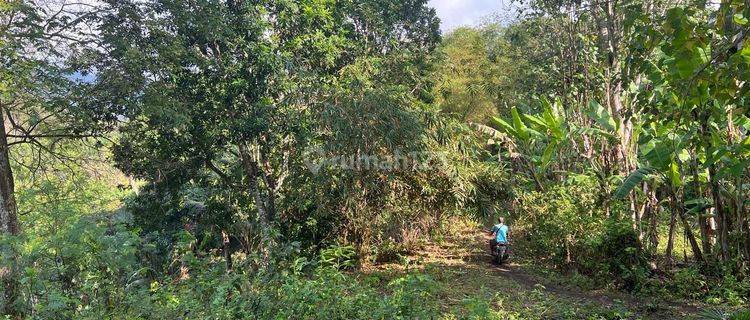 SURE CLOSING FOR SALE LAND WITH SEA VIEW LOCATION CANDIDASA MANGGIS KARANGASEM
 1