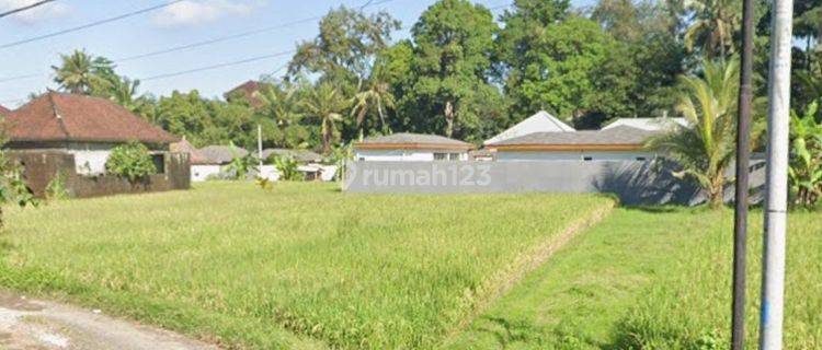 CERTAINLY CLOSING FOR RENT LAND LOSS SUNGAI LOCATION NAGI GENTONG TEGALLALANG UBUD GIANYAR
 1