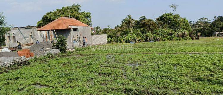 PASTI CLOSING DI SEWAKAN TANAH LOKASI NYANYI BERABAN TABANAN 1