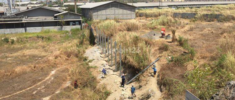 Disewakan Tanah Gresik Dekat Pintu Tol Dekat Teluk Lamong  1