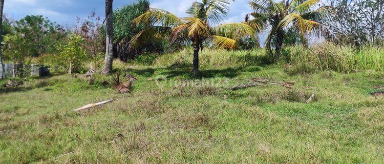 Land for rent 47 Are Balian Beach, Tabanan Bali Jh 2474 1