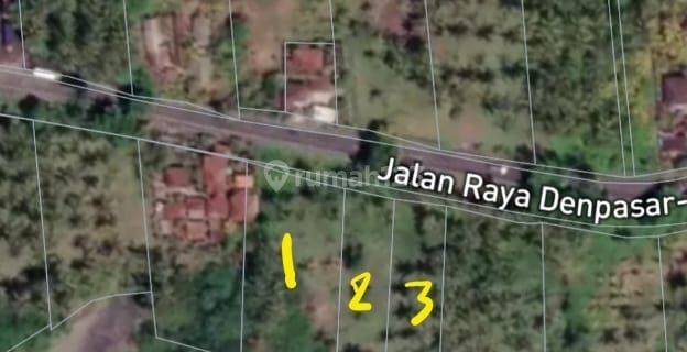 Tanah datar los pantai Pekutatan boleh ambil 1230 m2 1
