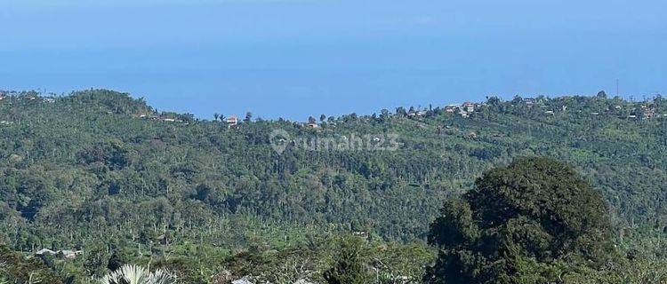 Tanah full view laut di jalan danau buyan Bedugul, Akses jalan 5 meter 1