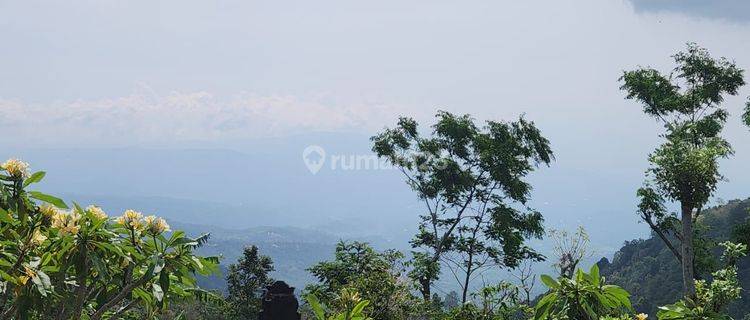 Tanah kontur datar tinggi lingkungan asri di Buleleng, Akses jalan 6 meter aspal 1