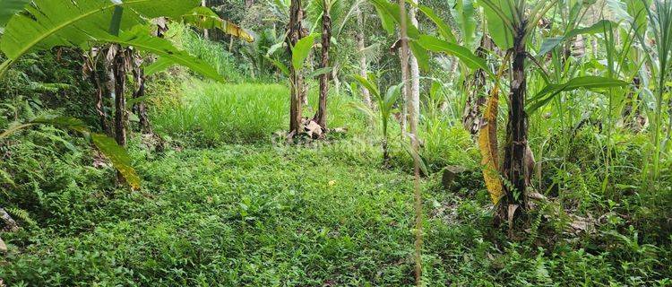 Tanah los sungai dan view jungle, akses jalan 4 meter di Ubud 1