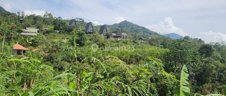 Land suitable for private or commercial villas, 6 meter road access 1