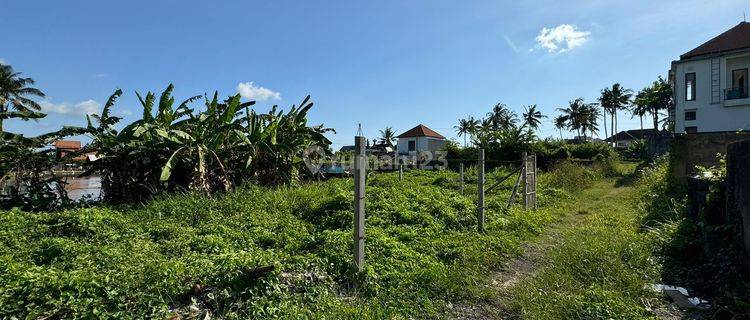 Tanah view sawah di Gianyar, Akses jalan 3 meter 1