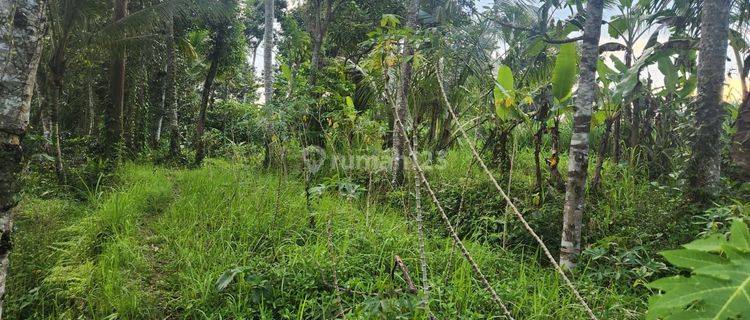 Tanah full view jungle dan los sungai di Ubud, kontur terasering 1