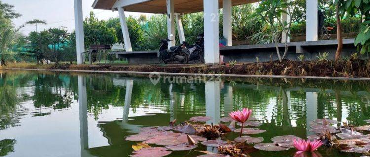 Vila Luas Dan Asri Di Perum Griya Triga Asri Banjaran NS0009 1