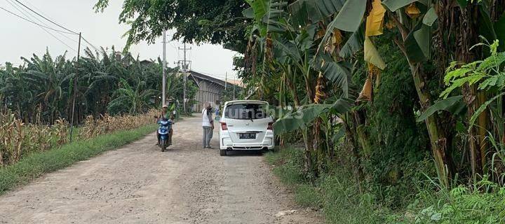 Tanah Strategis Luas Bisa Perluasan di Merangen 1