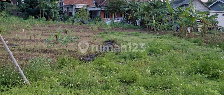 Strategic Land Ready to Use Below NJOP Price in Beringin 1