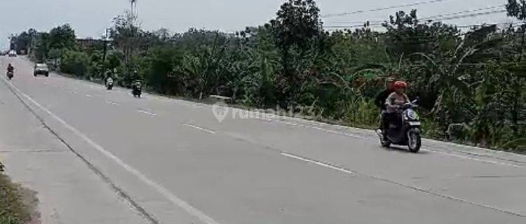 Lahan Zona Merah Strategis di Grogogan Wirosari 1