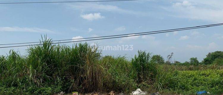 Tanah Luas Strategis Bisa Perluasan di Tegowanu 1