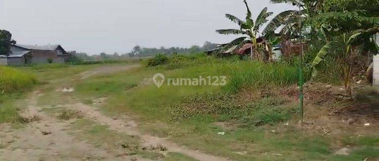 Tanah Strategis Zona Industri di Tegowanu  1