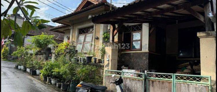 Dijual Rumah Lantai 1 Shm Di Denpasar Utara Ho 1