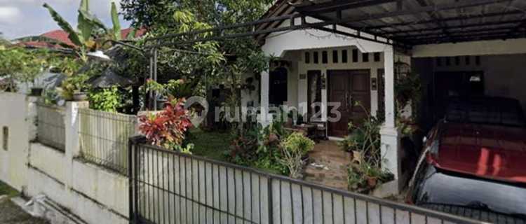 House and fruit garden for sale in the Sokaraja area. 1
