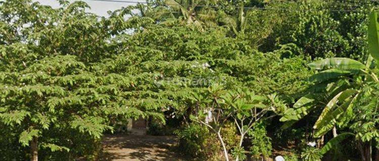 dijual tanah sppt pinggir jalan di cilacap 1