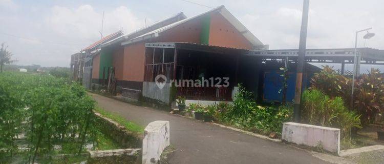 dijual rumah hook view pedesaan di Sumbang, Banyumas 1