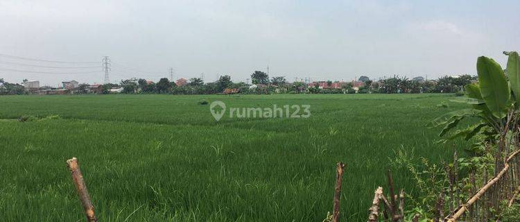 Tanah Murah 5828 M² Hgb Harga  235.000/Mtr Karawang Bekasi  1