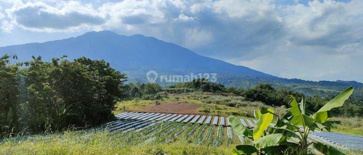 Tanah Dengan View Pegunungan Di Cicurug Sukabumi Jawa Barat 1