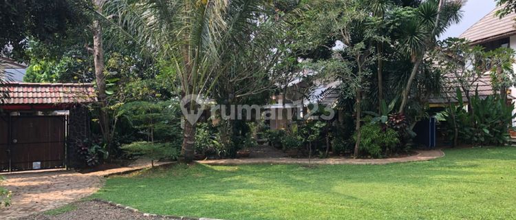 Serene Garden House in Cirendeu, East Ciputat 1