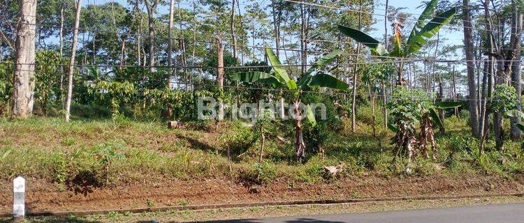 TANAH COCOK UNTUk PERUMAHAN SUKORJO KENDAL 1