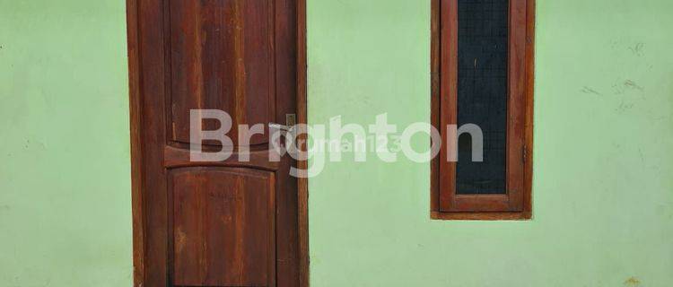 Rumah Kontrakan 10 pintu BSD 1