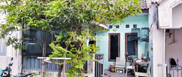 RUMAH DIJUAL PERUMAHAN TRIDASA BELAKANG COMFEED 1