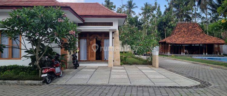 Villa Mewah Di Borobudur Dengan Kolam Renang Dan View Gunung  1