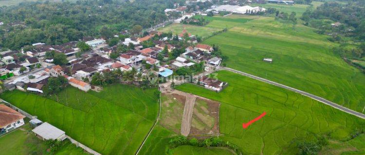 Dijual Sawah Zona Kuning 1