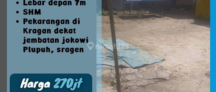 Pekarangan Plupuh sragen 270 Juta  1