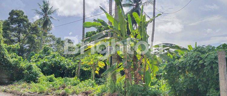 Tanah di jalan raya dekat kampus IAKN Tateli, dekat Lombart park , cocok buat kost2an 1