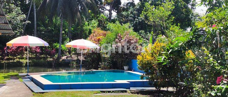 Rumah Tanah Besar di Sagrat dengan Kolam Renang 1