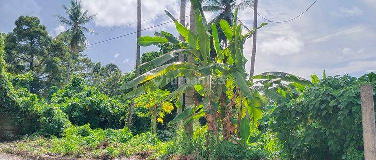 Dijual Tanah Dekat Kampus Iakn, Bisa Buat Kost2an Ataupun Yg Lain, Depan Jalan Bougenville Tateli Satu.

 1