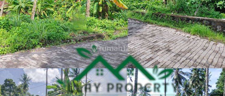 Tanah Di Jalan Raya Dekat Kampus Iakn Tateli, Dekat Lombart Park , Cocok Buat Kost2an 1