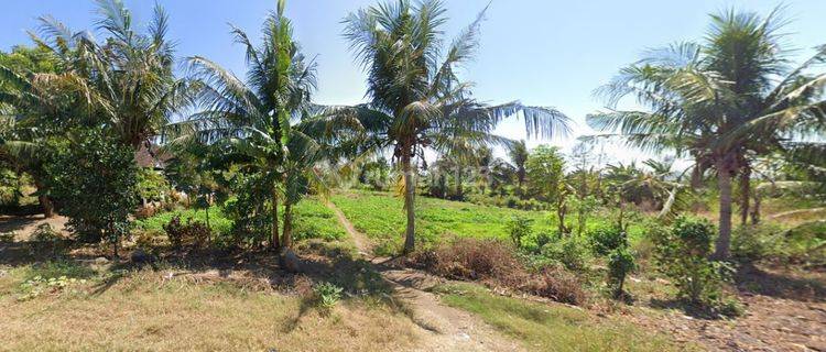 Dijual Murah Tanah Kosong di Daerah Belanting, Lombok Timur 1