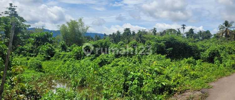 Dijual Tanah Kosong Dengan Harga Murah 1