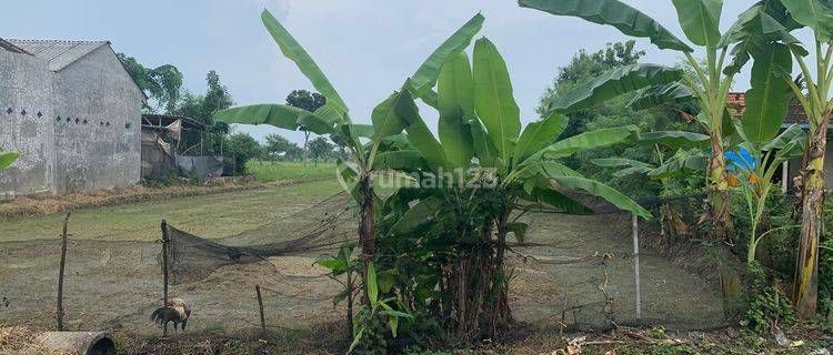 Dijual Murah Tanah Kosong di Daerah Desa Tambaharjo Melalui Lelang 1