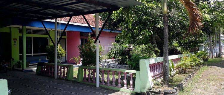 Di Jual Cepat Tanah Di Jalan Kesatrian. Purworejo Kedu. Jawa Tengah. 1